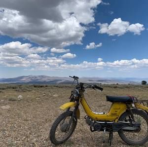 Meet your Posher, Eddie